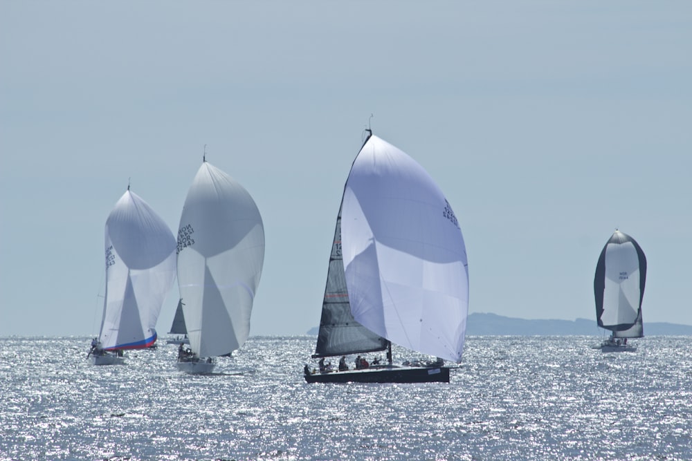 sailing boats on sea