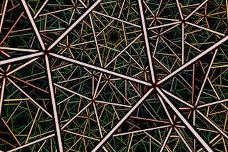 a black and white photo of a bunch of sticks