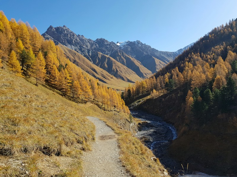 Swiss National Park: The Alps' Only National Park