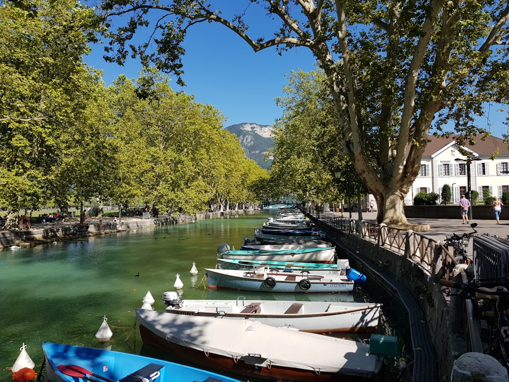 assorted-colored canoes on body of water surrounded with green trees viewing mountain and houses