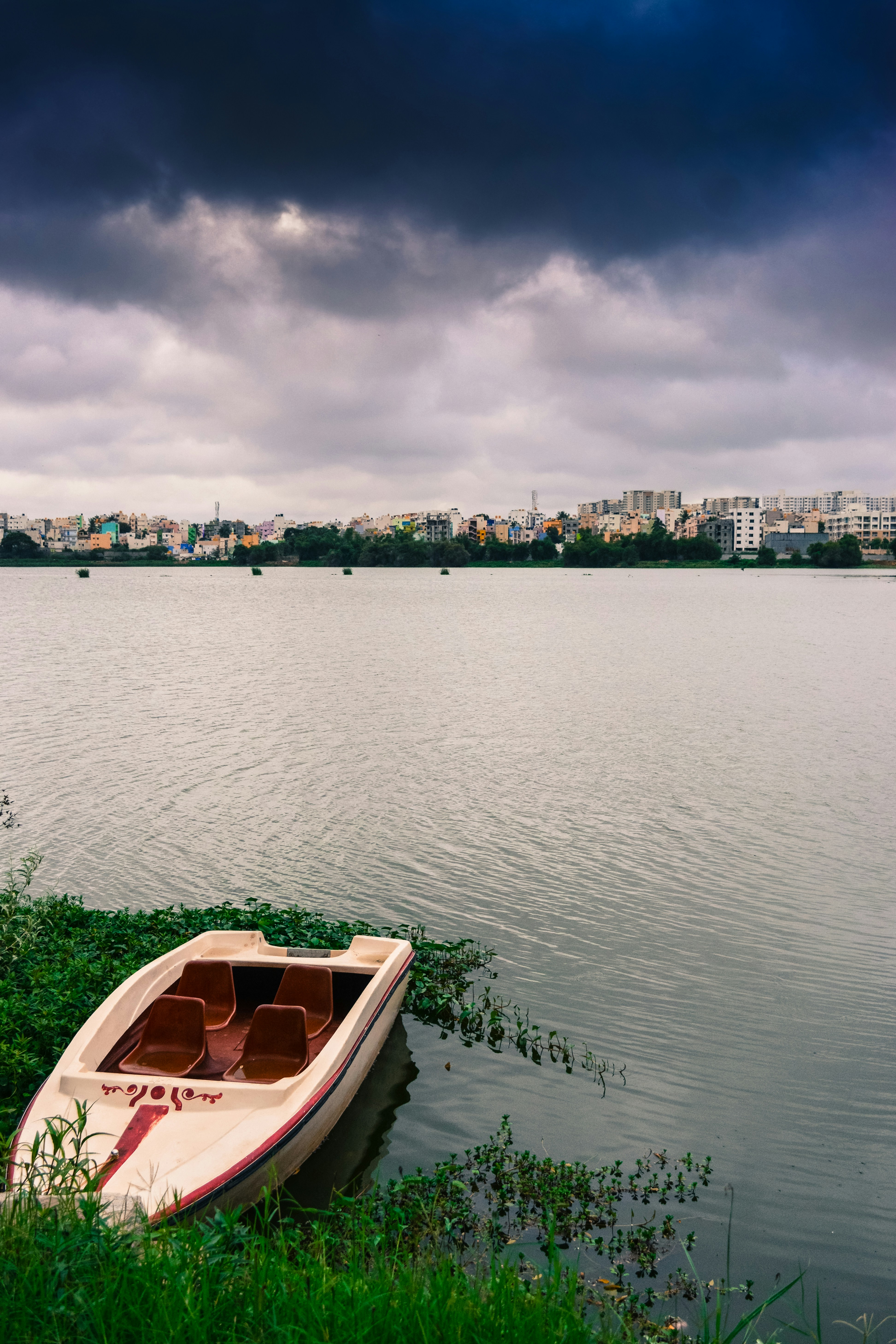 Photo by _clicksbyayush_