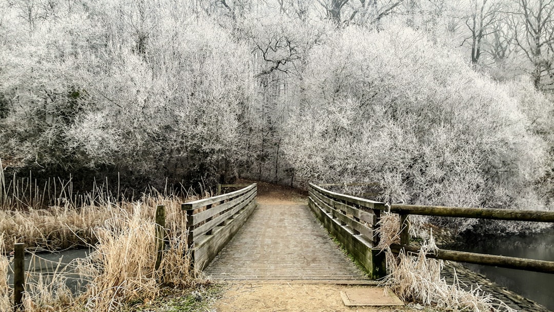 Nature reserve photo spot Guyancourt Bastille