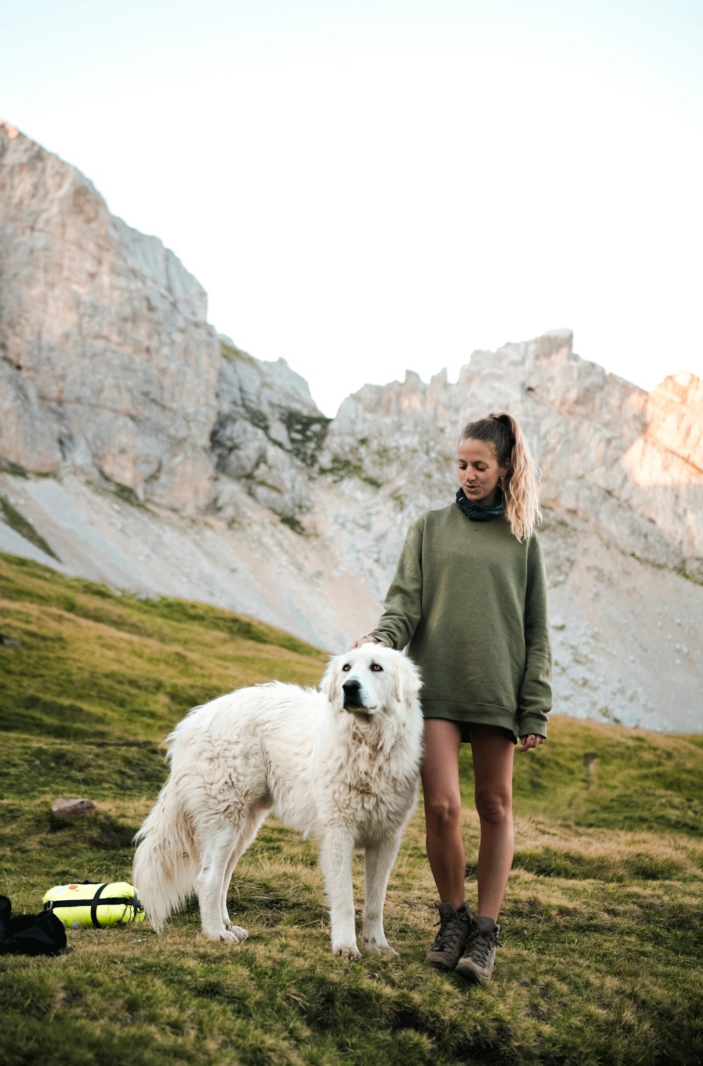 woman wearing green crew-neck sweater standing near adult yellow Labrador retriever on green field