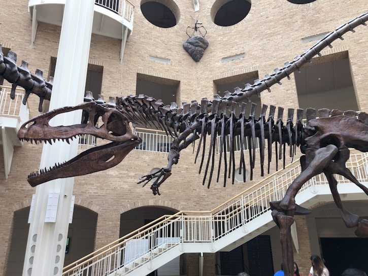 The image features a large dinosaur skeleton displayed prominently in an indoor museum setting. The skeleton is intricately detailed, with its long tail extending and mouth open, showcasing sharp teeth. Behind the skeleton, there is a brick wall with multiple open balconies and a large heart-shaped art piece hanging on the wall. A broad staircase with white railings is visible in the background, and a few people are observing the exhibit.