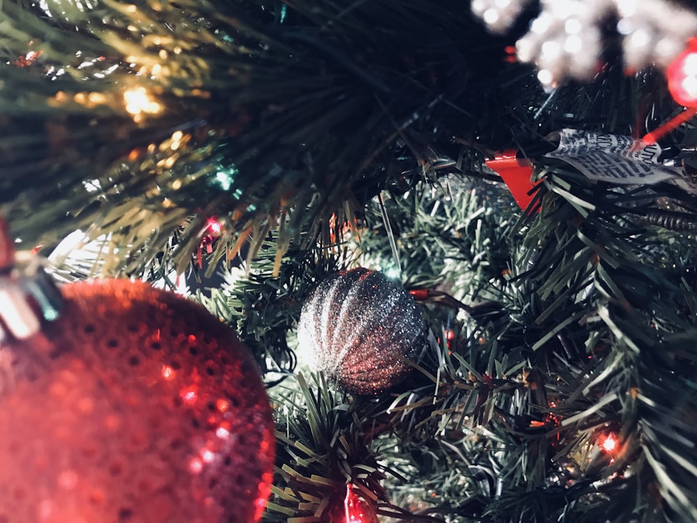 shallow focus photo of red Christmas baubles