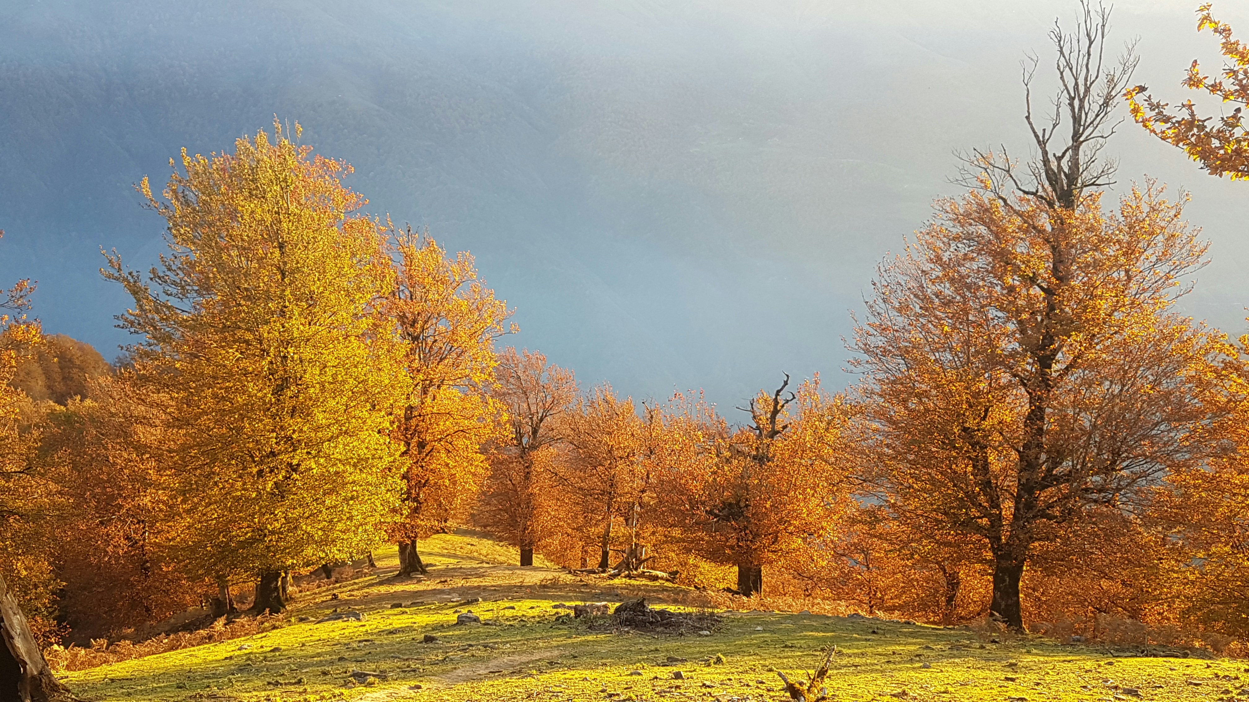 Photo by mssalehpoor