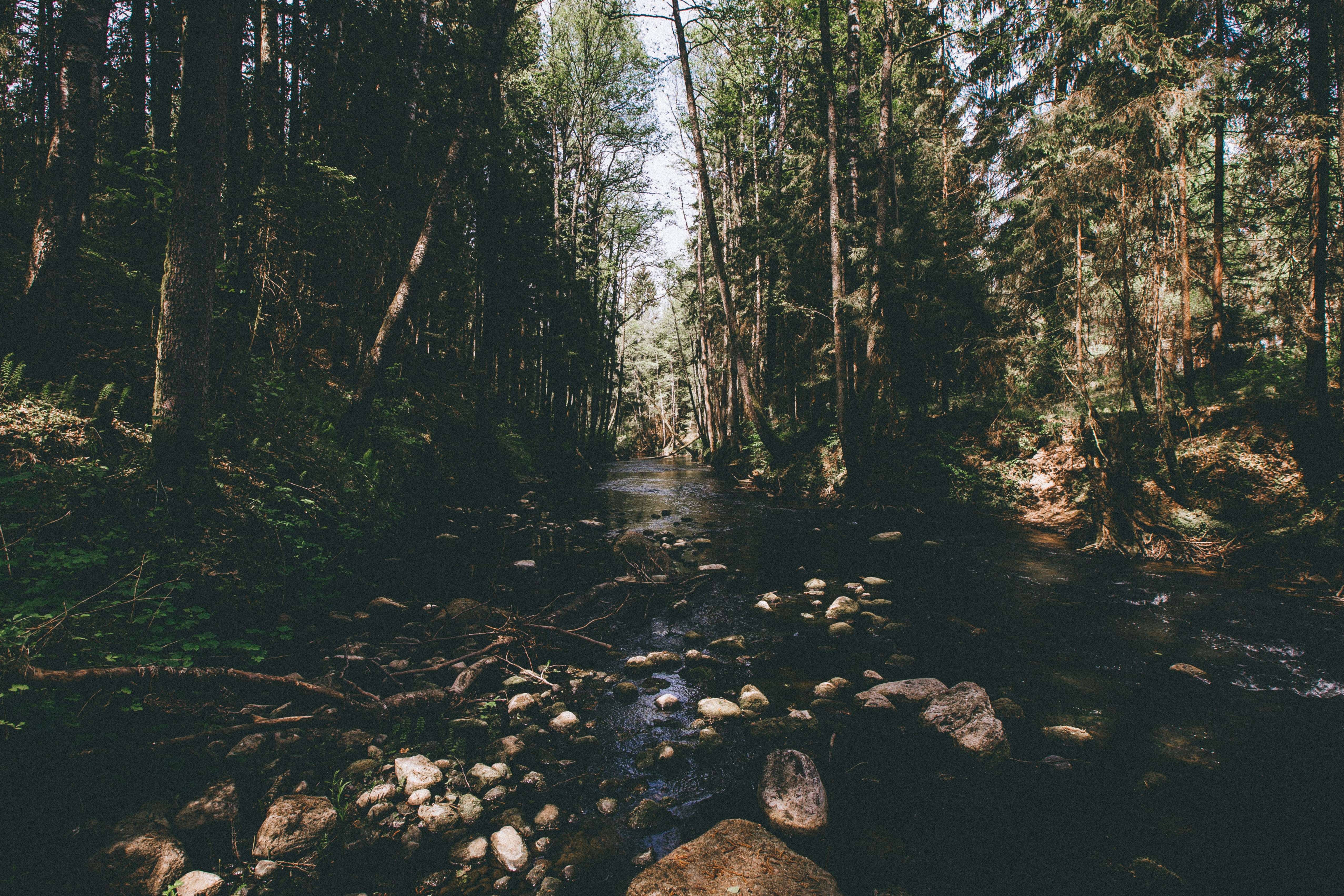 Photo by marekssteins