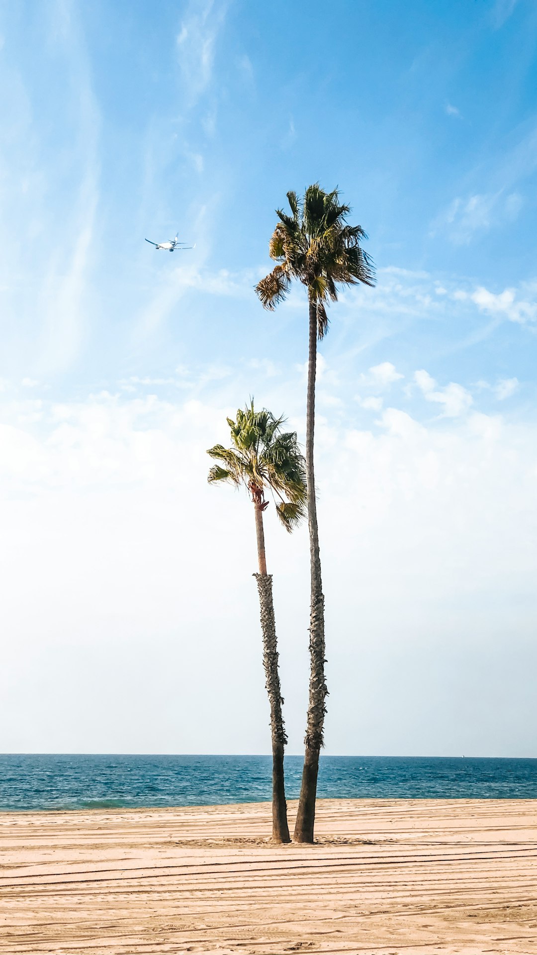 green coconut trees near seashore under white and blue sky