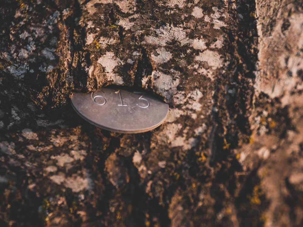 round silver-colored 613 coin on rock