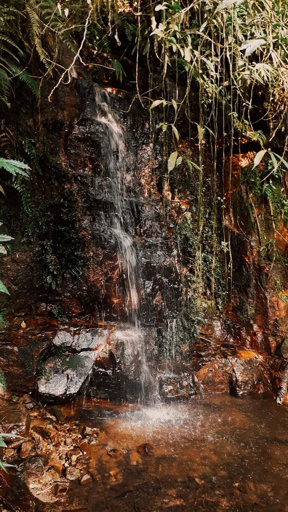 waterfalls surrounded with green trees