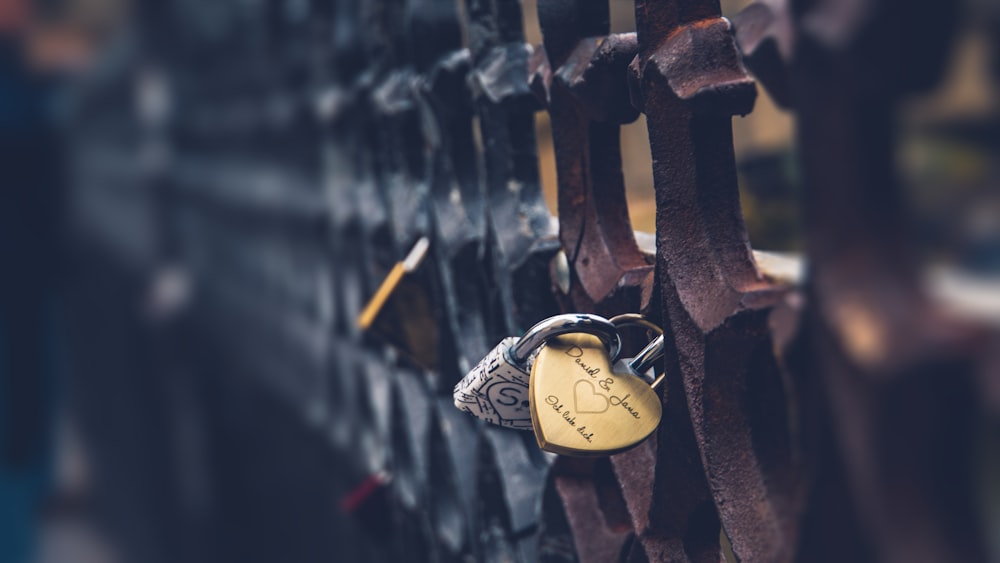 brass and silver padlocks