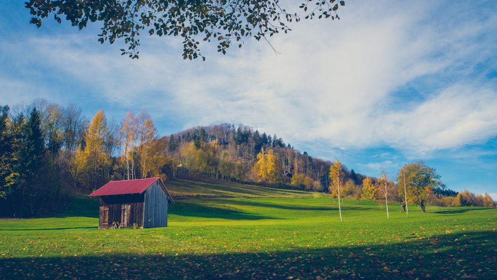 a small cabin in the middle of a green field