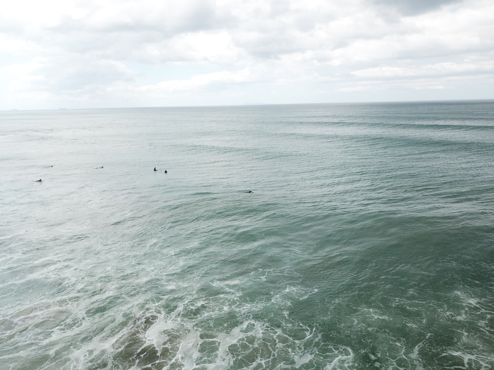 a group of surfers in the middle of the ocean