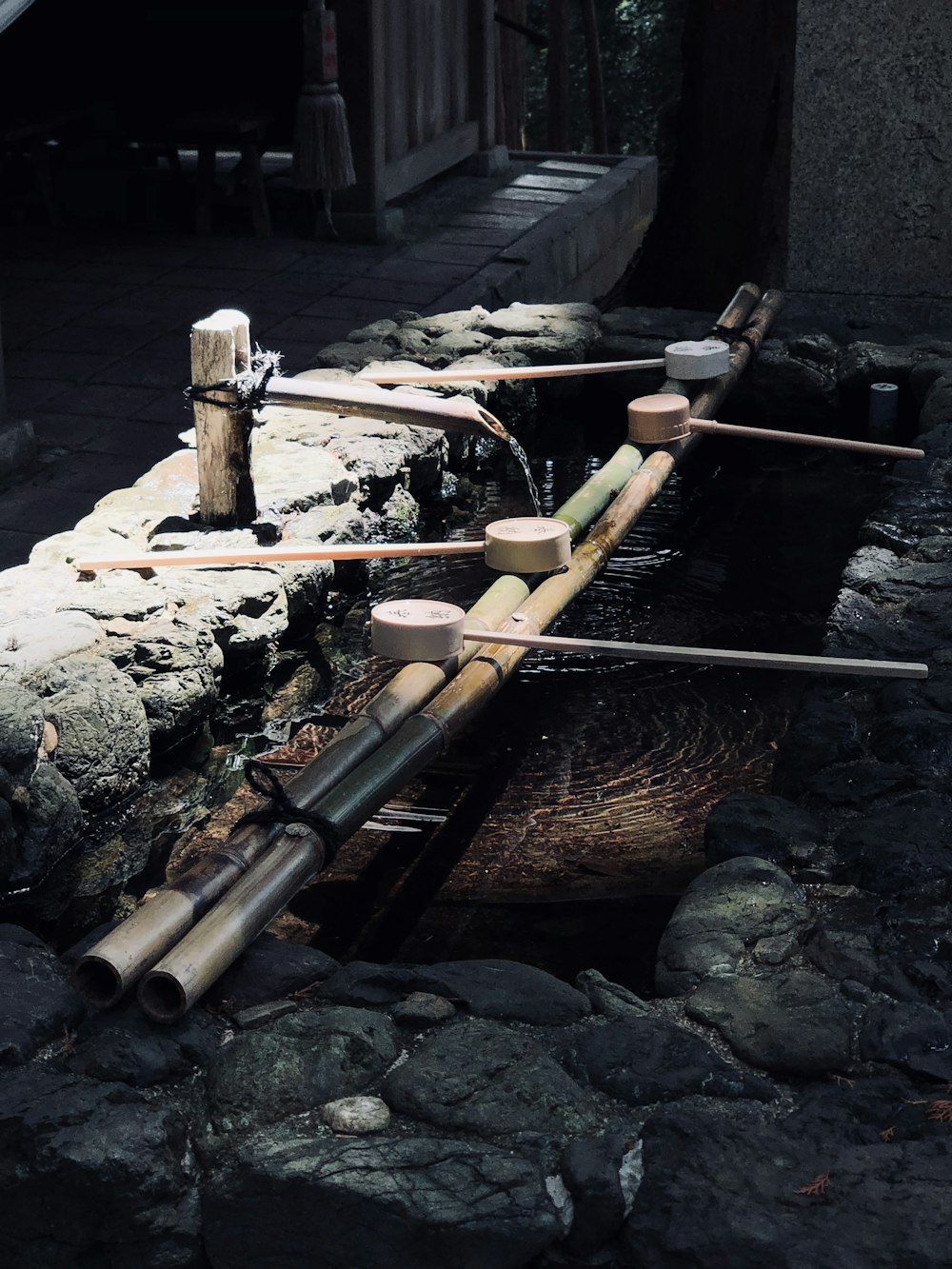 a row of wooden poles sitting next to a body of water