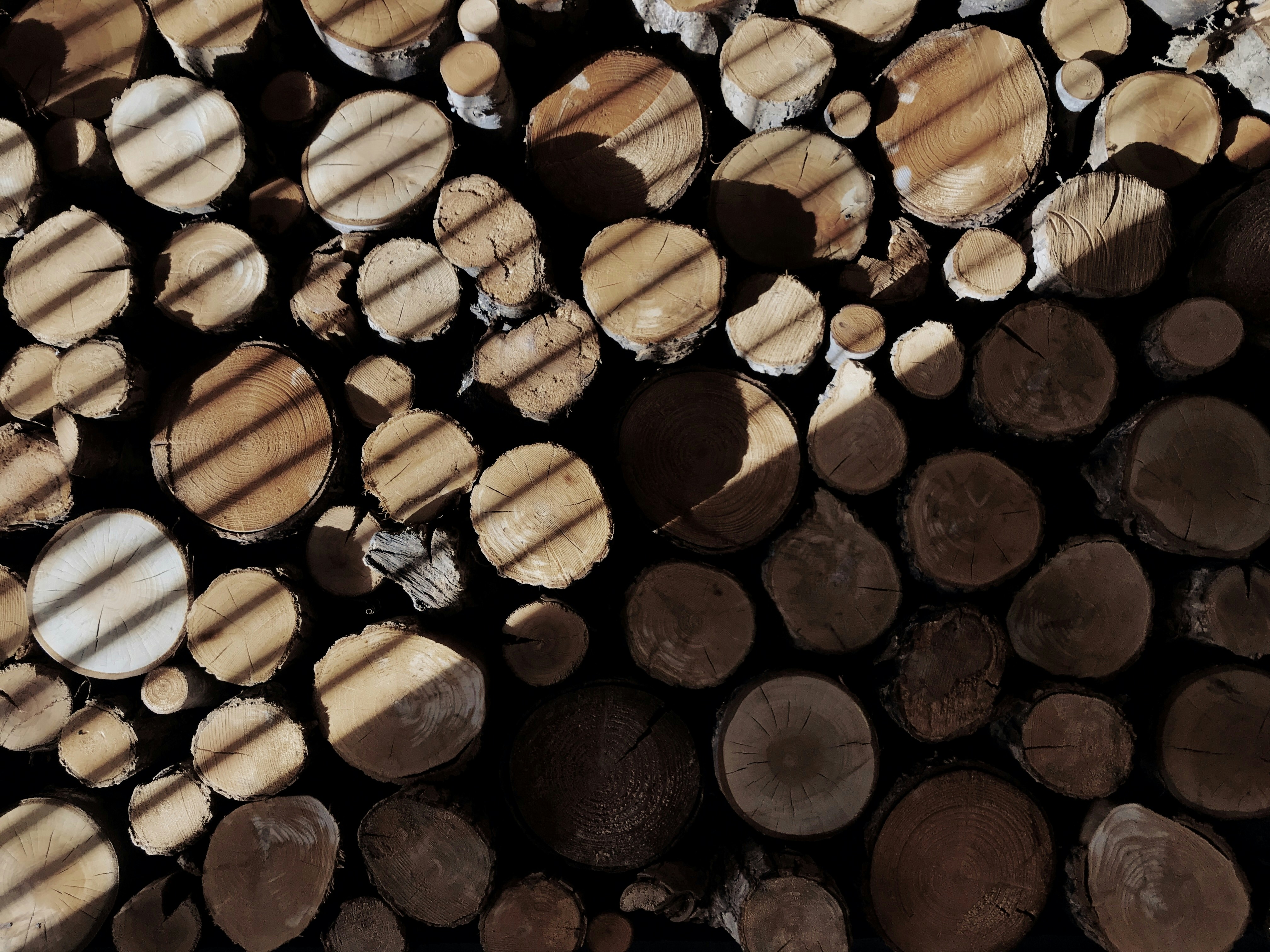 Photo by jordankgraff