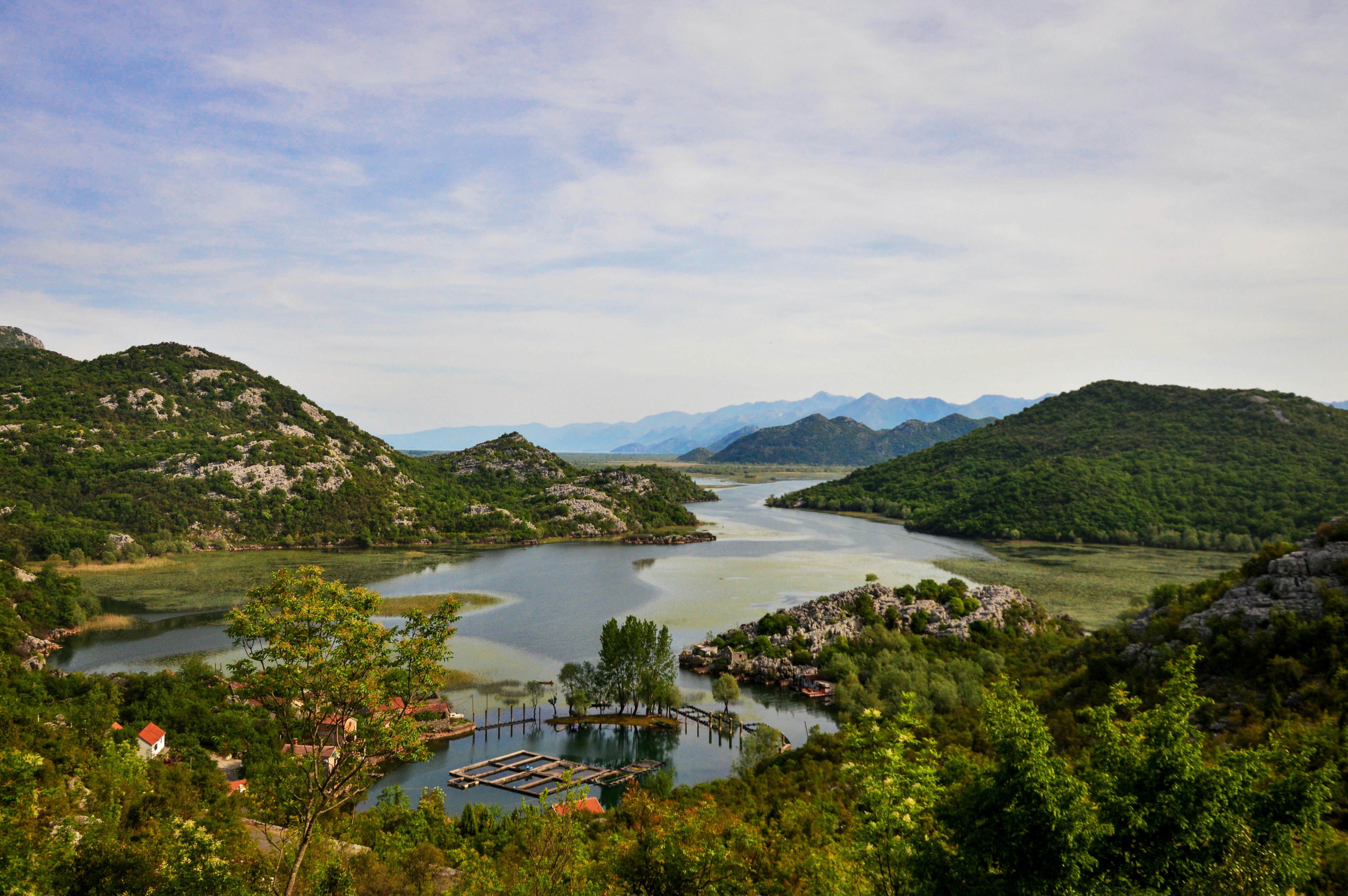 Photo by isidoragarcevicart