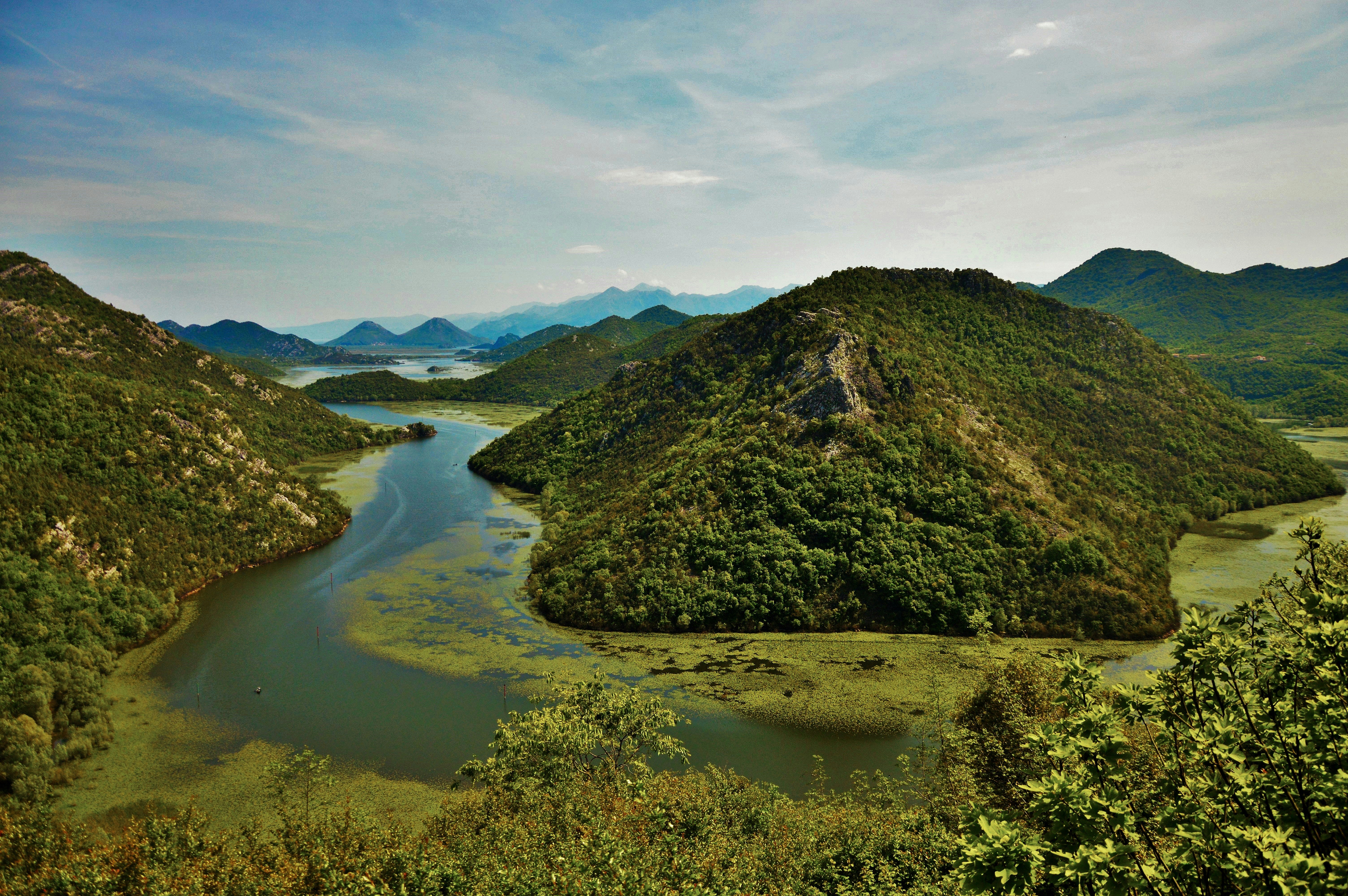 Photo by isidoragarcevicart