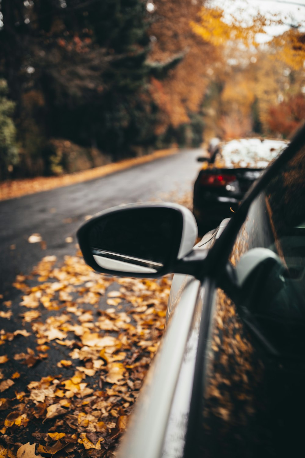 car on road near trees during day