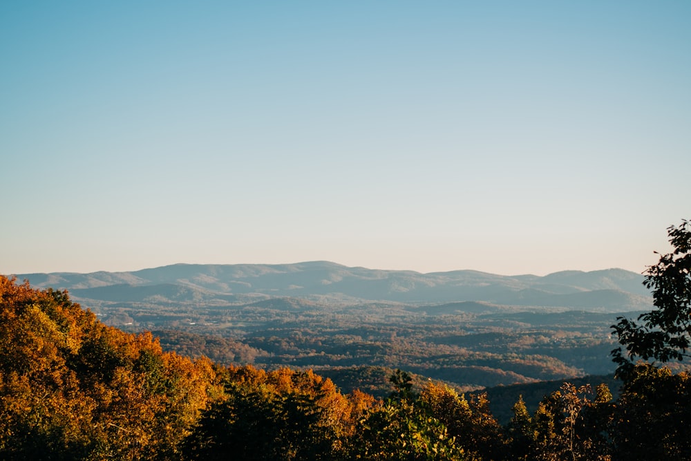 aerial photography of green field viewing mountain under blue and white sky