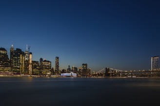 cityscape during nighttime