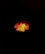 Glowing orange and yellow heating element, shaped in a wavy pattern, illuminated against a dark background.