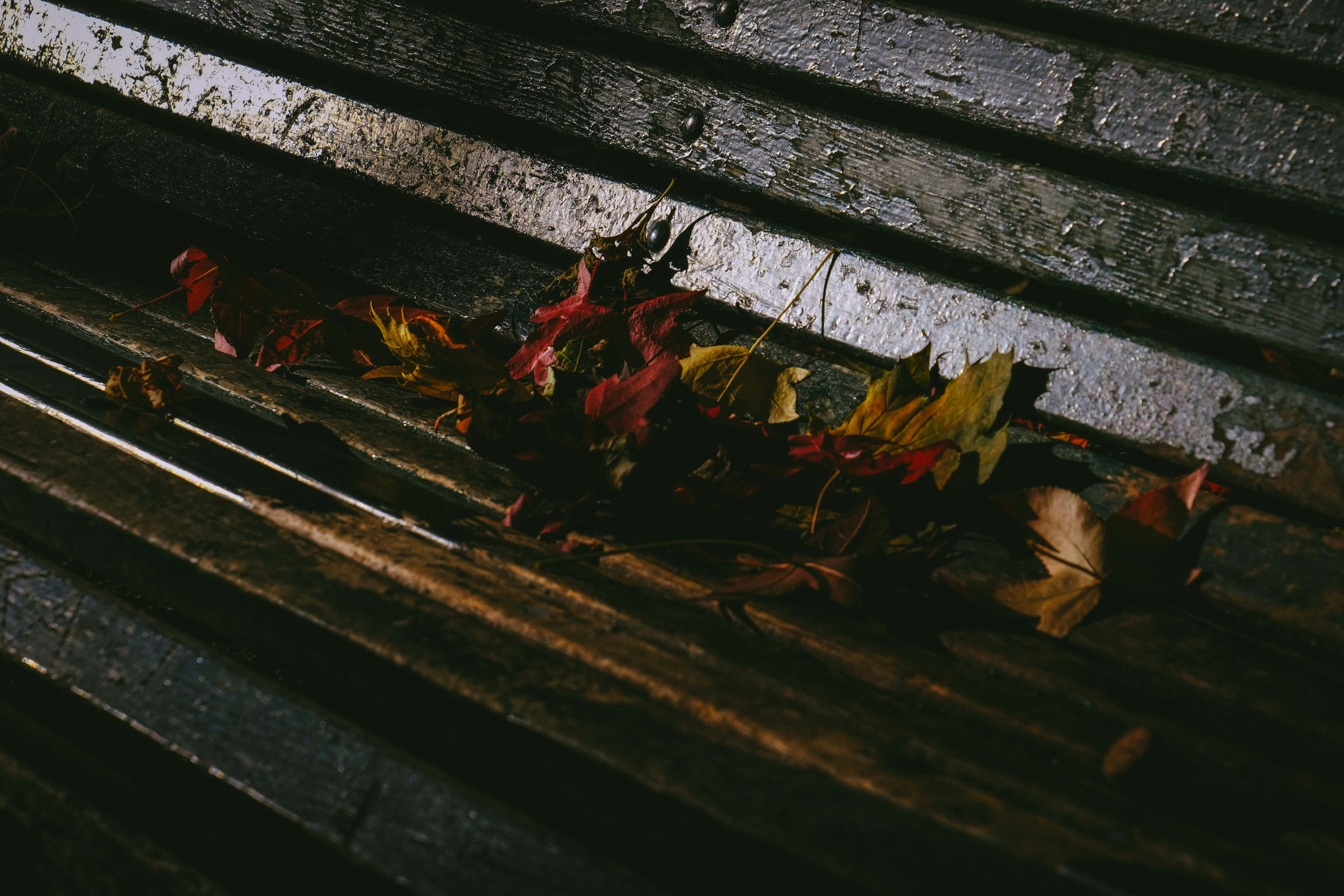 Photo by francesco_ungaro