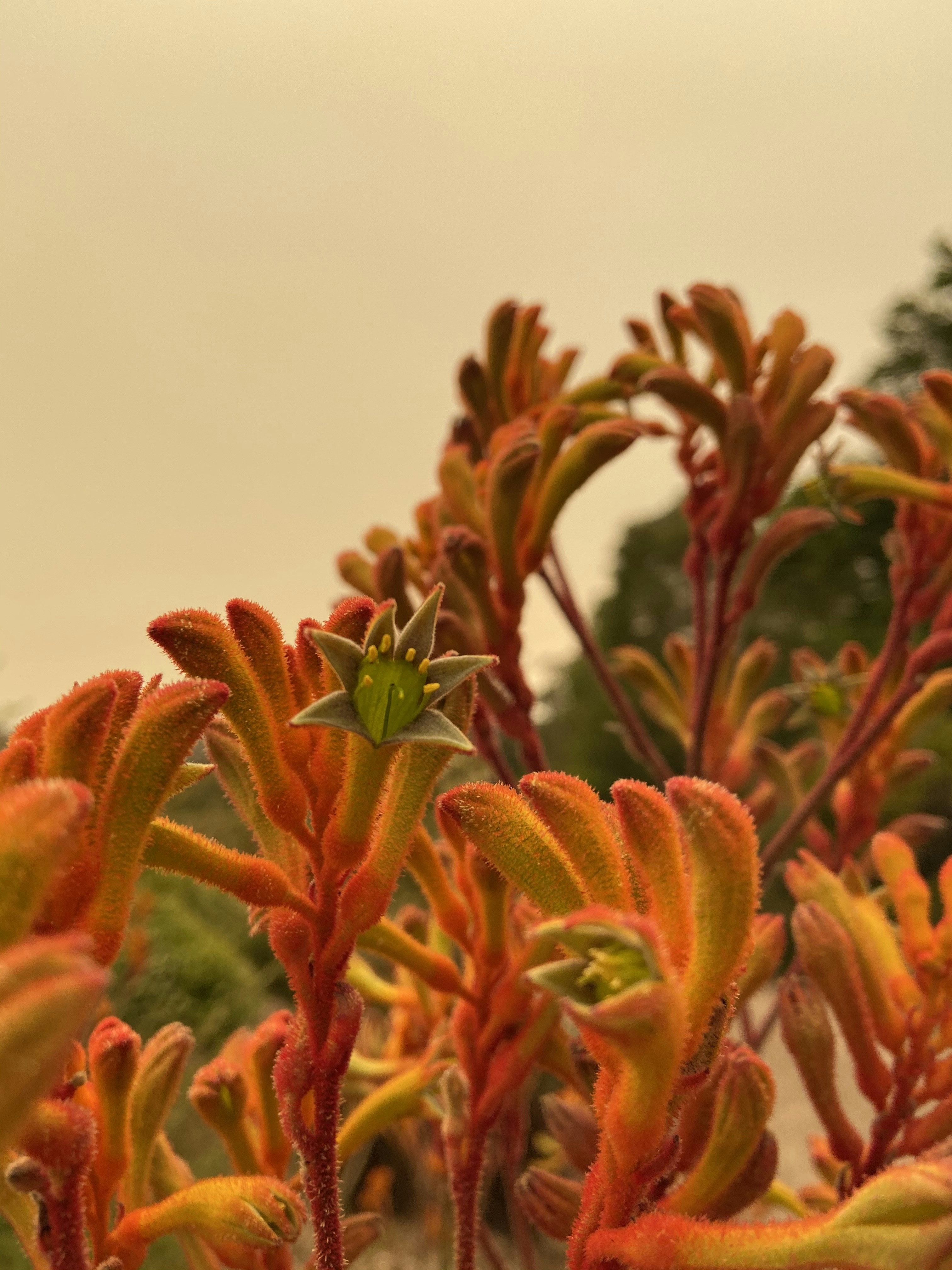 Photo by jem_aesthetic