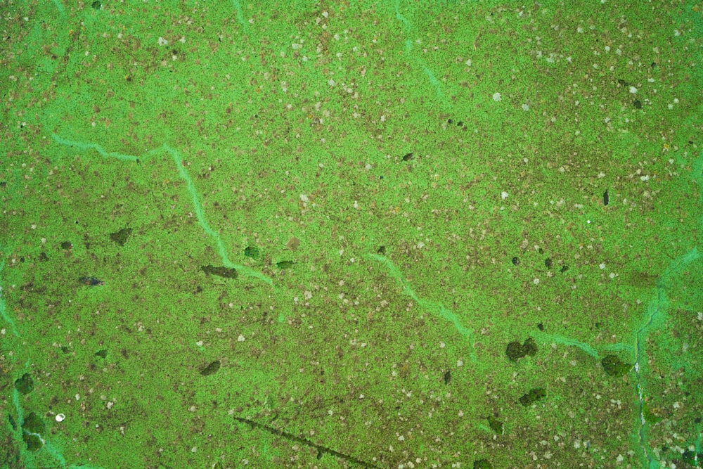 an aerial view of a green area with lots of dirt