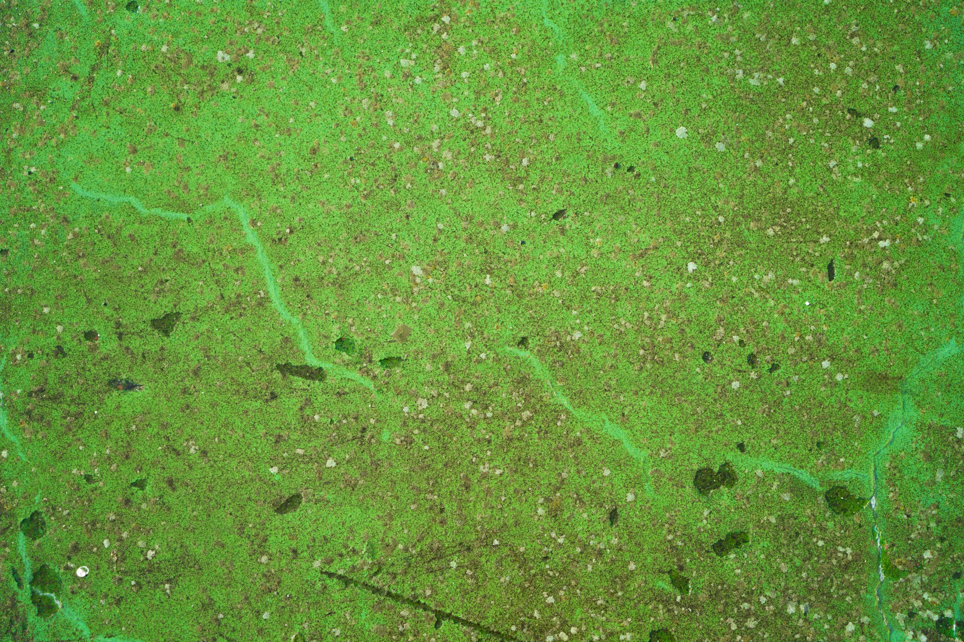 an aerial view of a green area with lots of dirt