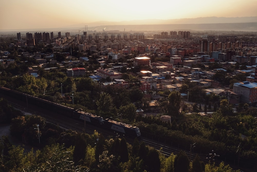 aerial photography of buildings and trees