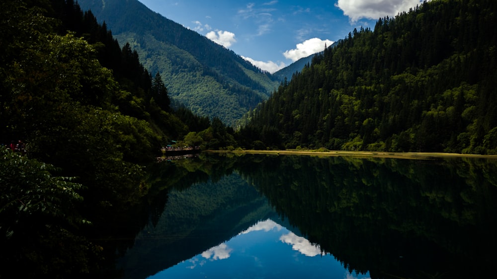 reflejo de árboles verdes y cielo azul en el cuerpo de agua