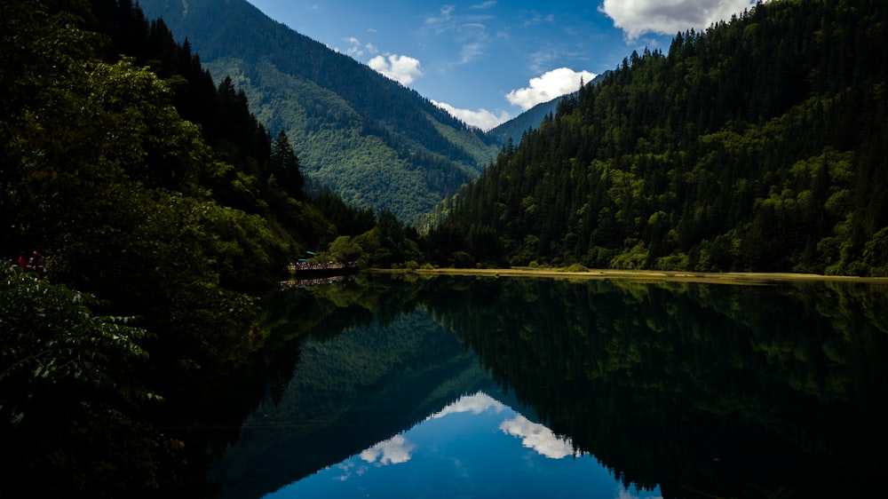 reflection of green trees and blue sky in body of water