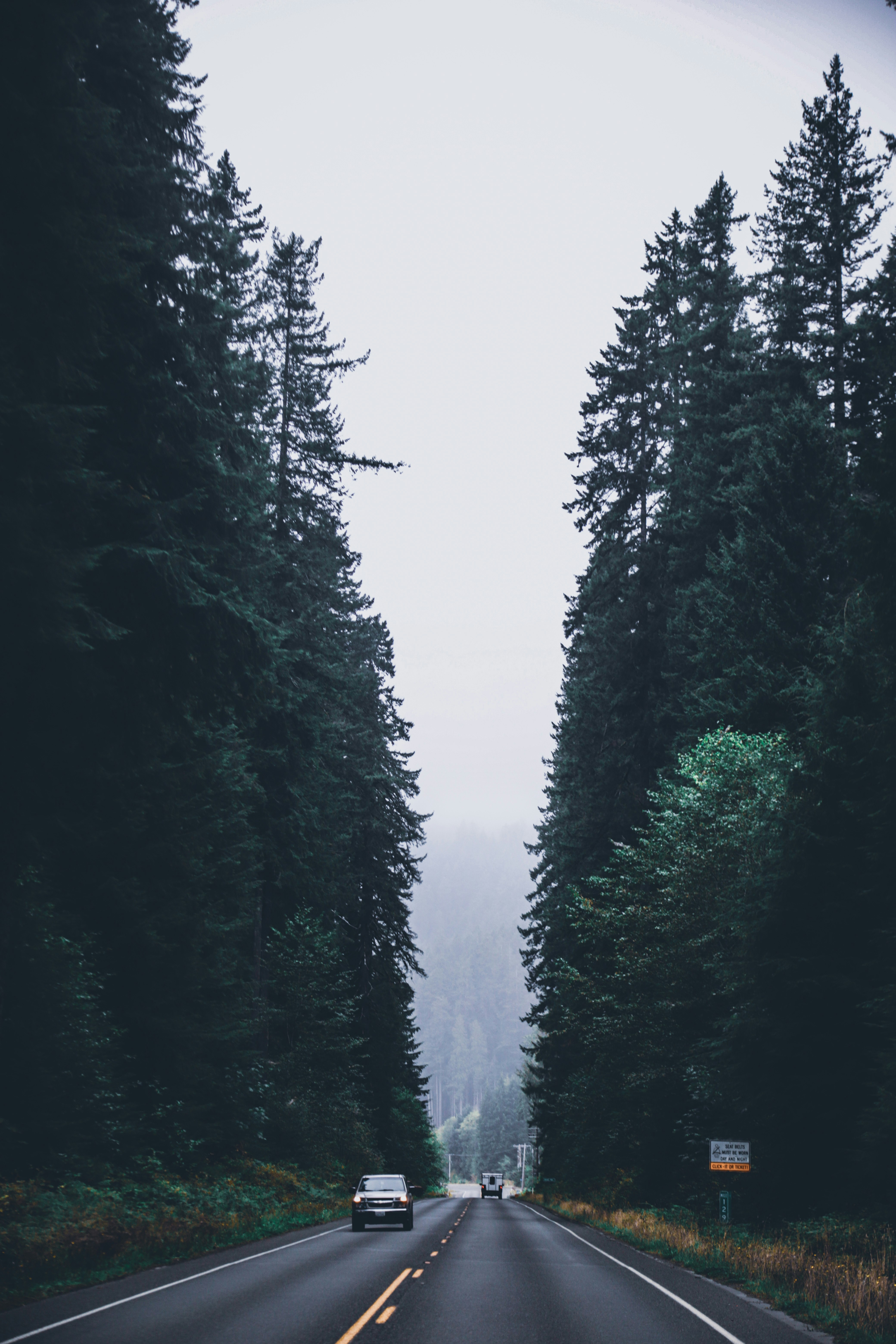 Photo by we_are_rising