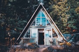 view photography of triangular house in forest