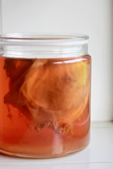 Großes Einmachglas mit Kombucha-Ansatz und Scoby an der Oberfläche