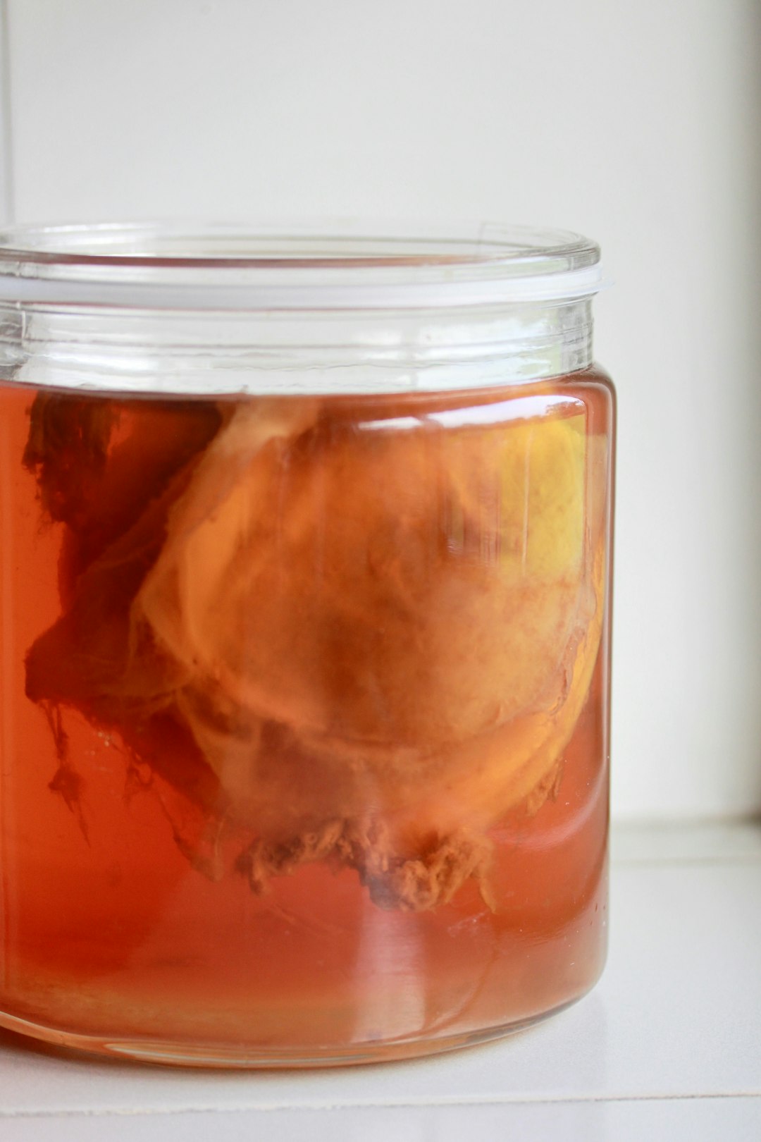 My huge Kombucha scoby, home brewed, originally comes from Russia, kitchen, healthy