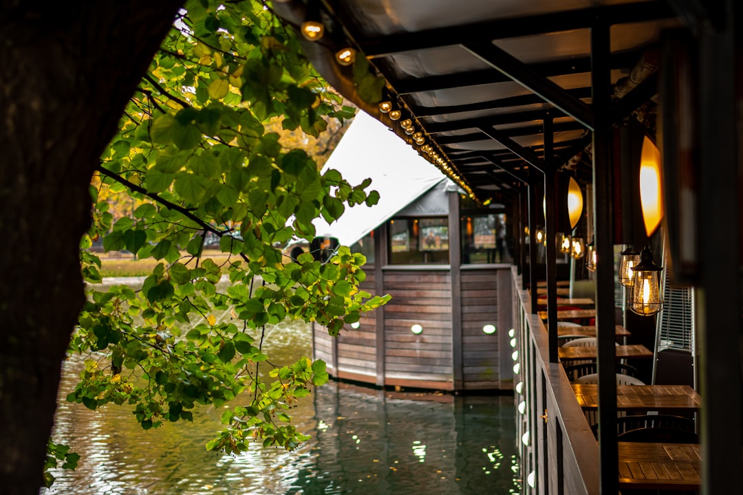 wooden structure on body of water