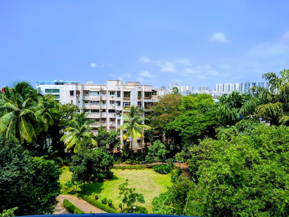 trees beside building