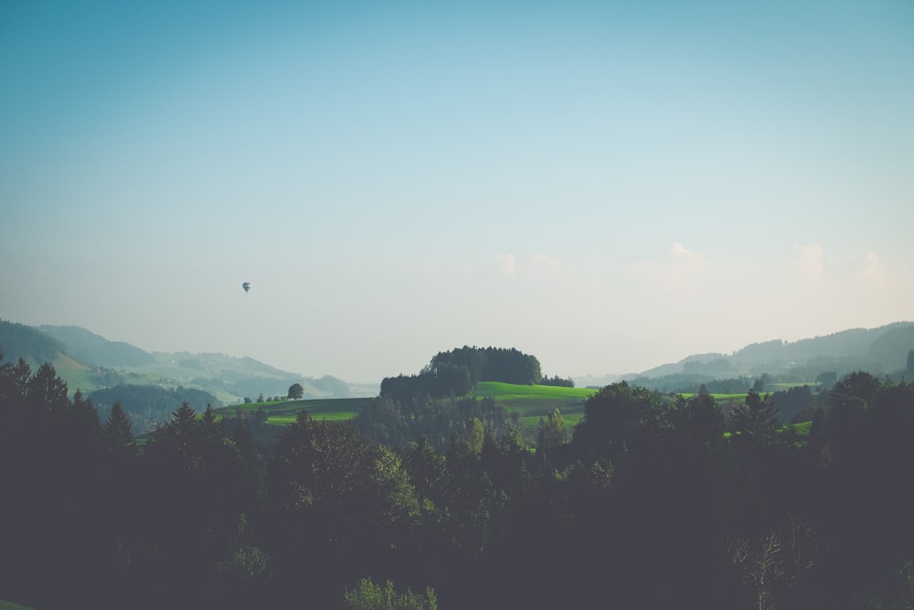 landscape photography of trees and mountain