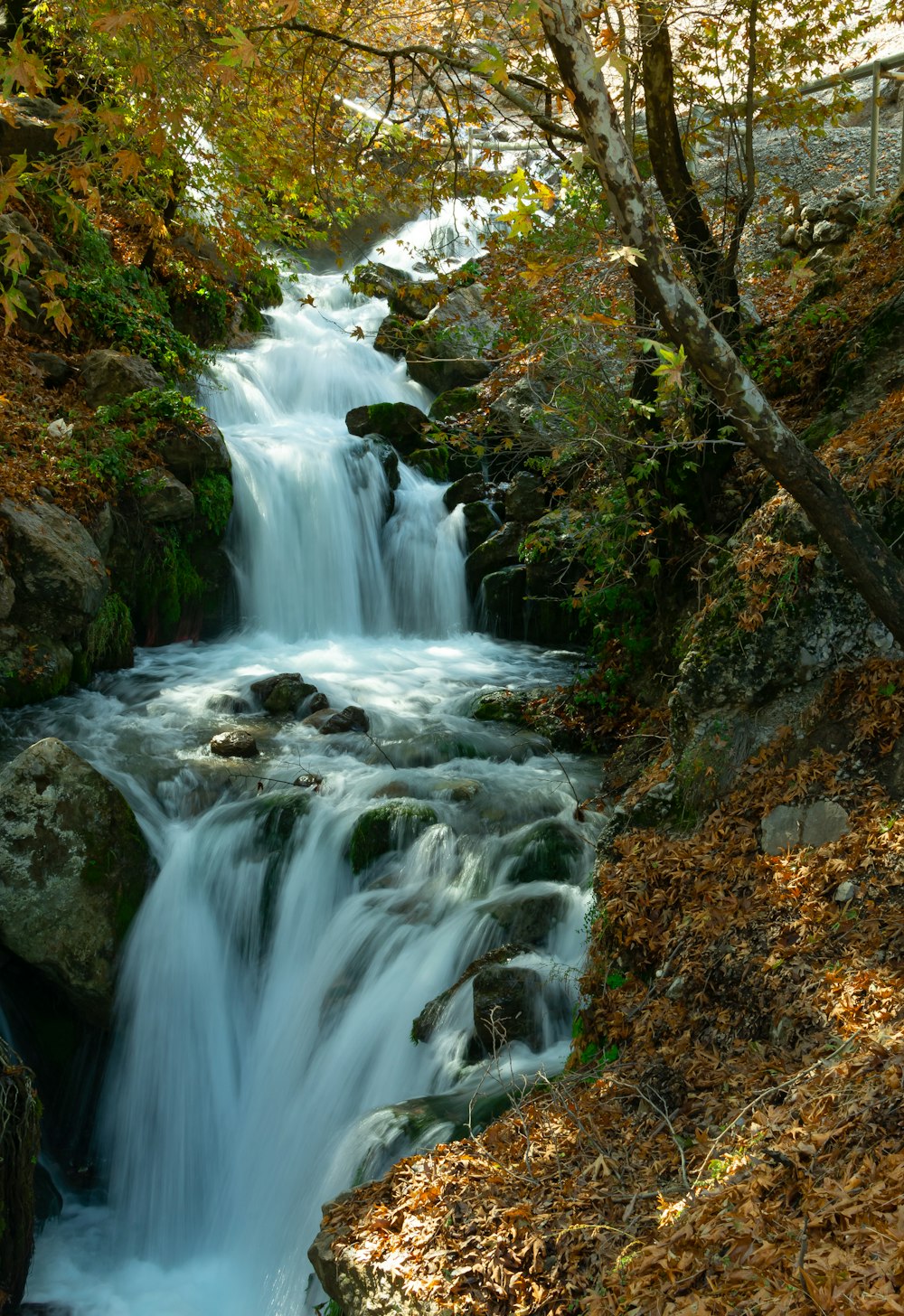 long-exposure photography of waterfalls