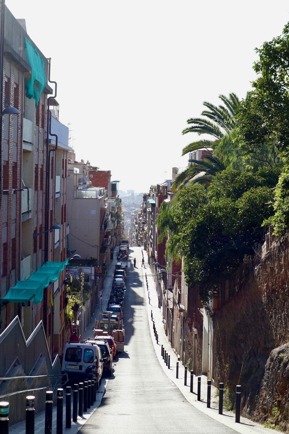 a city street lined with tall buildings and trees