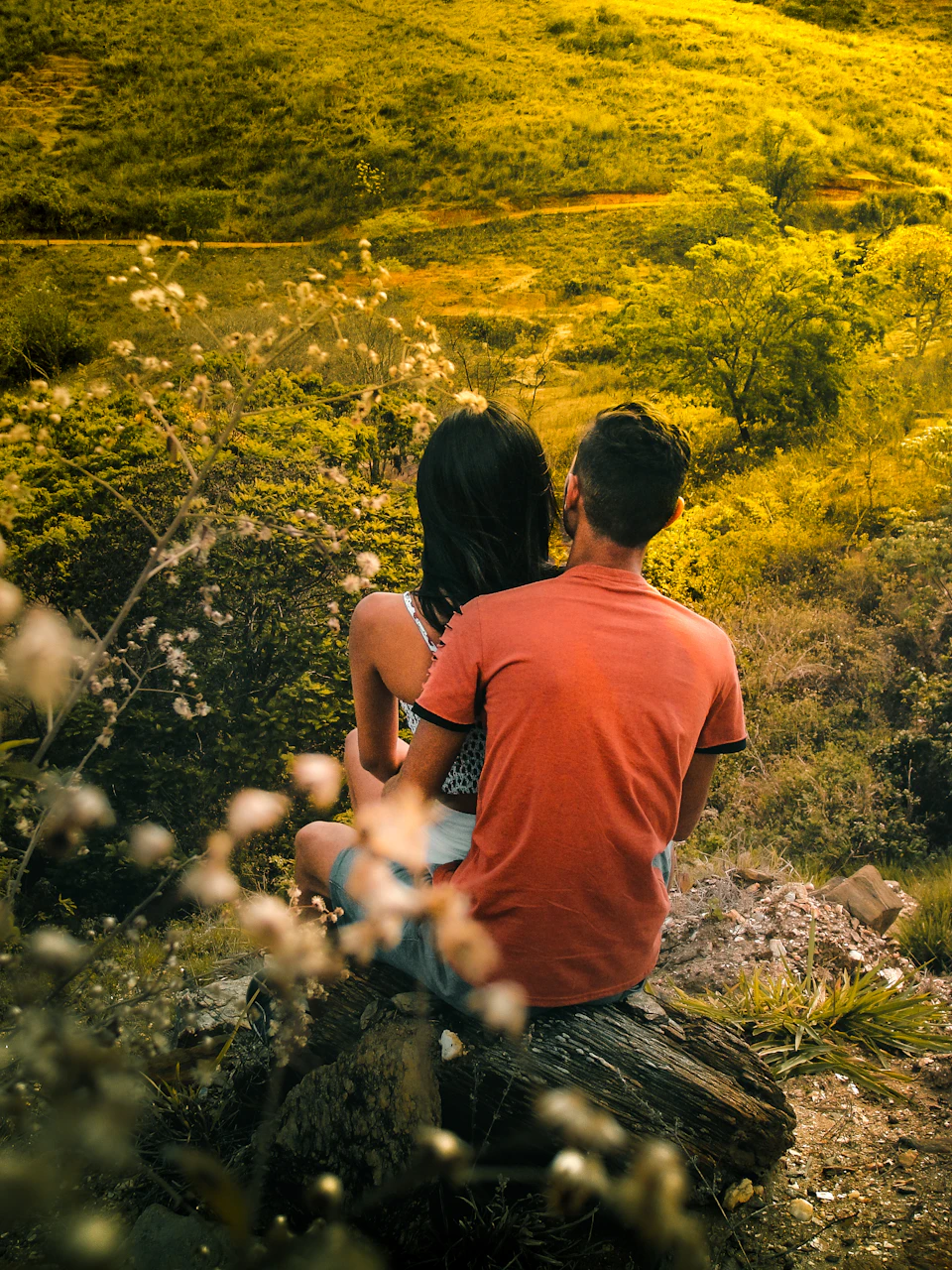 Two individuals sit on a tree stump, gazing into the distance, in a verdant landscape