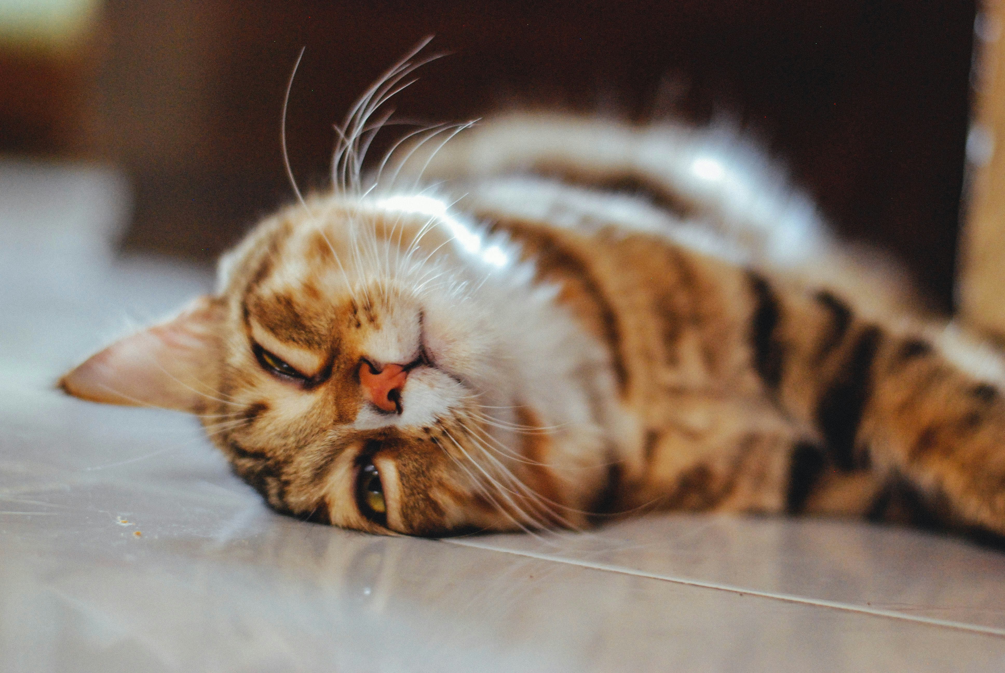 Photo by rakhmatsuwandi