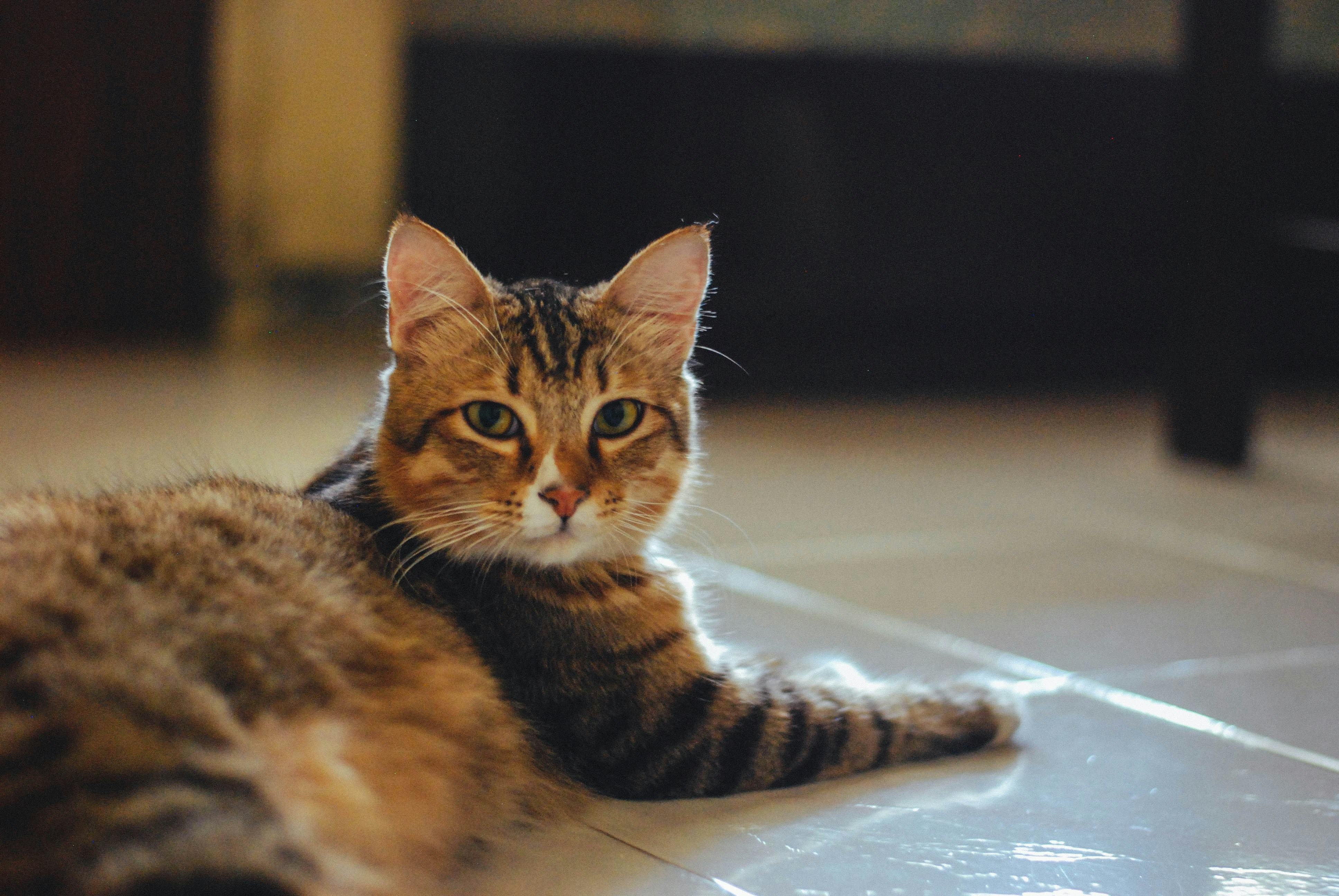 Photo by rakhmatsuwandi