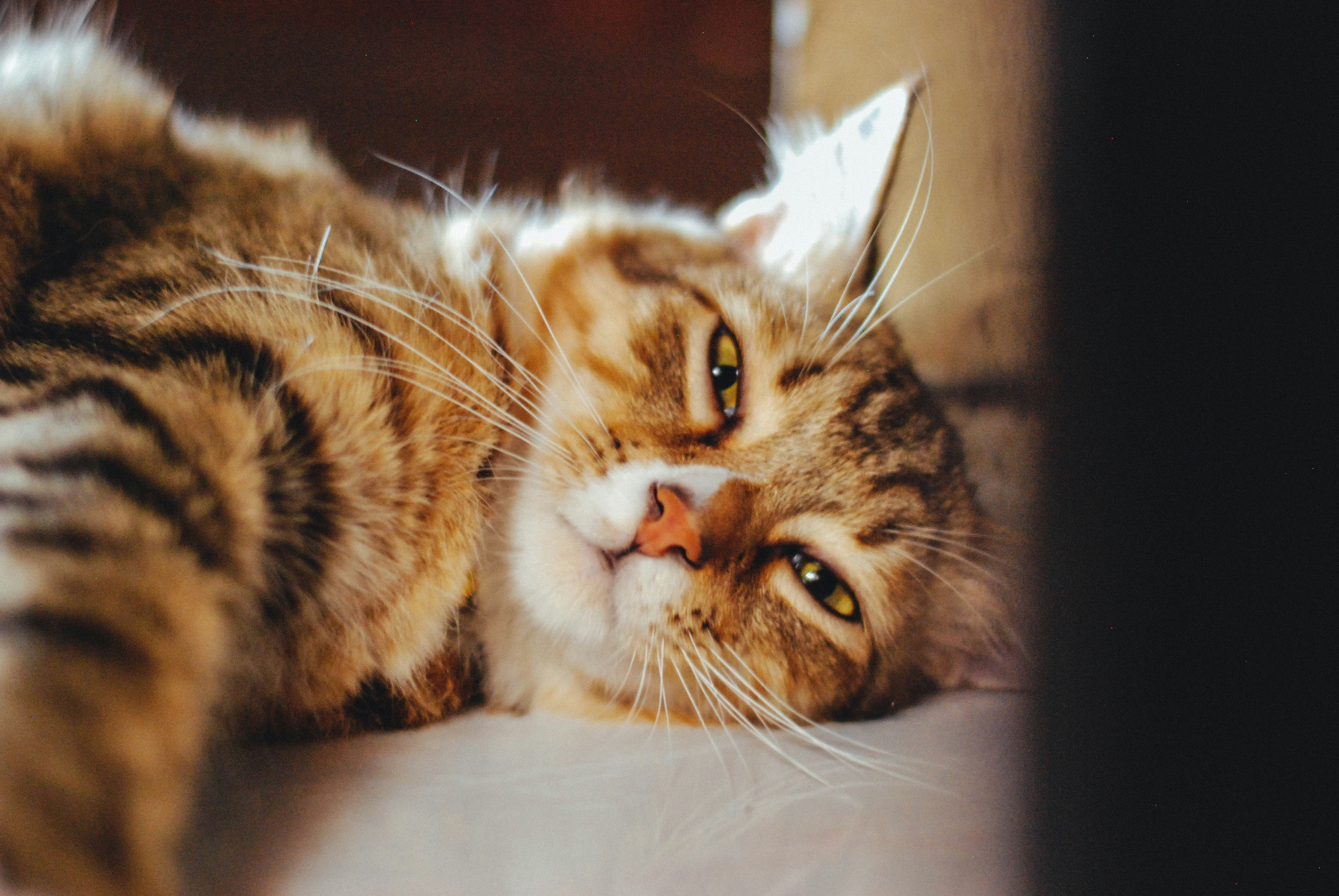 Photo by rakhmatsuwandi