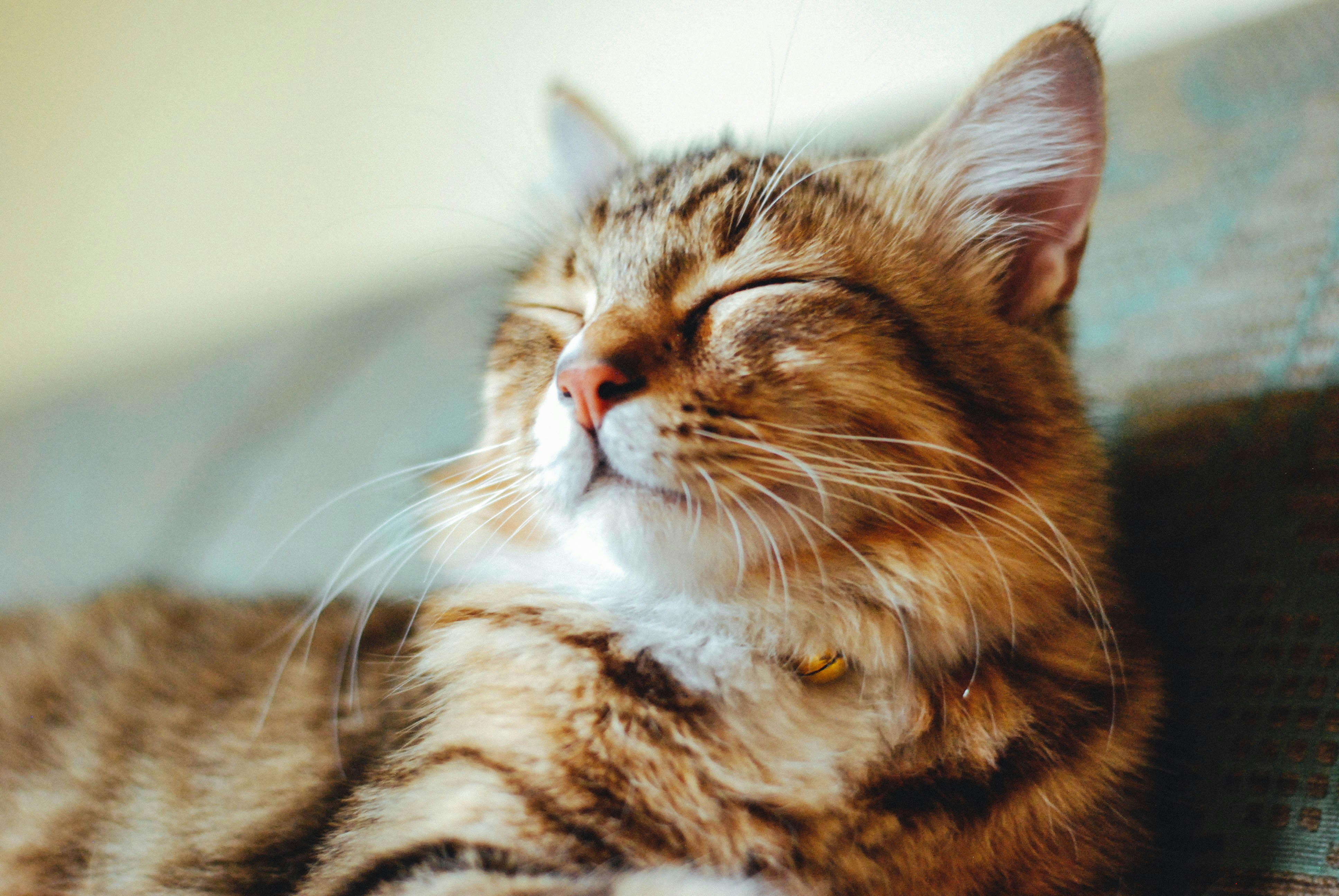 Photo by rakhmatsuwandi