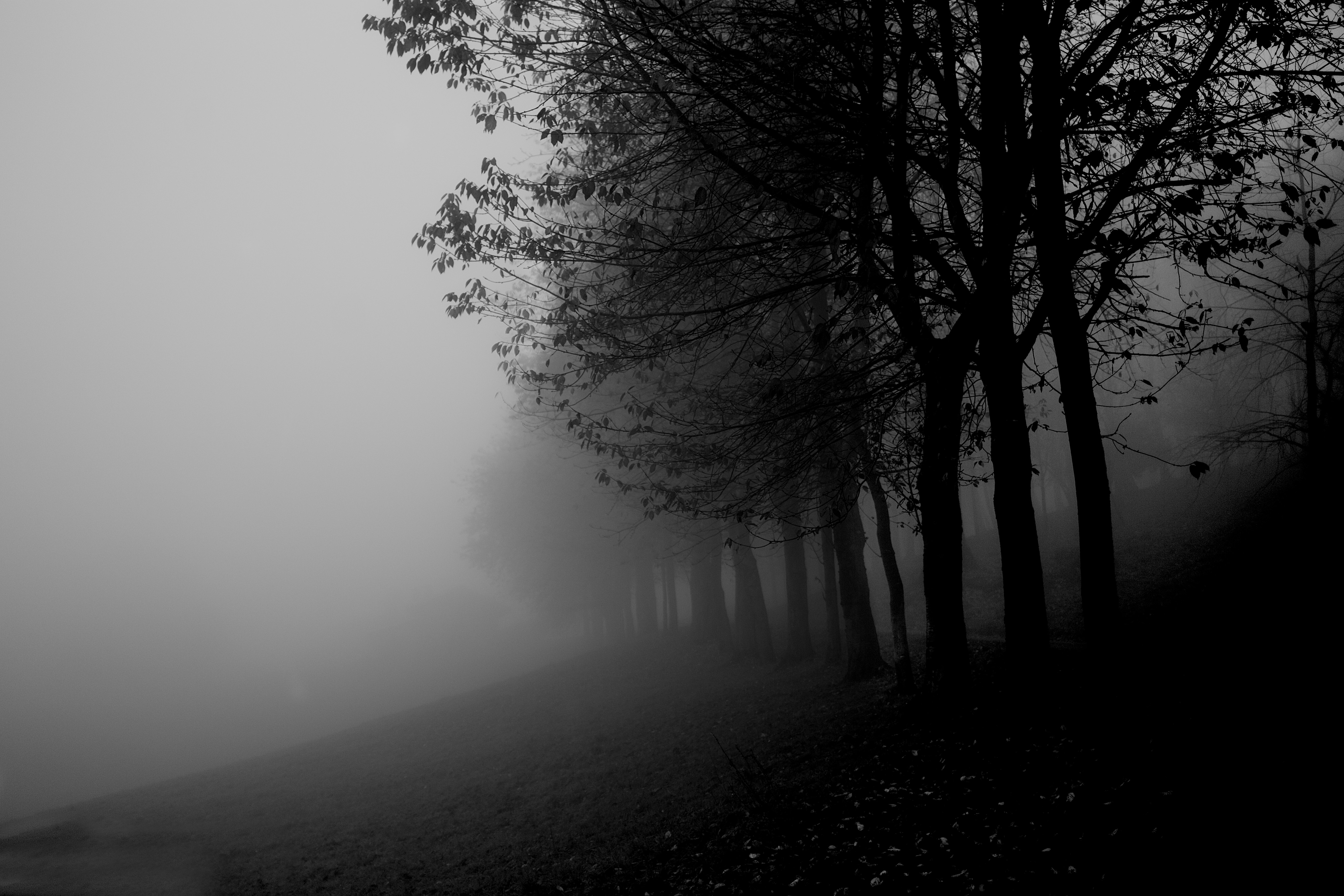 Mysterious mist.