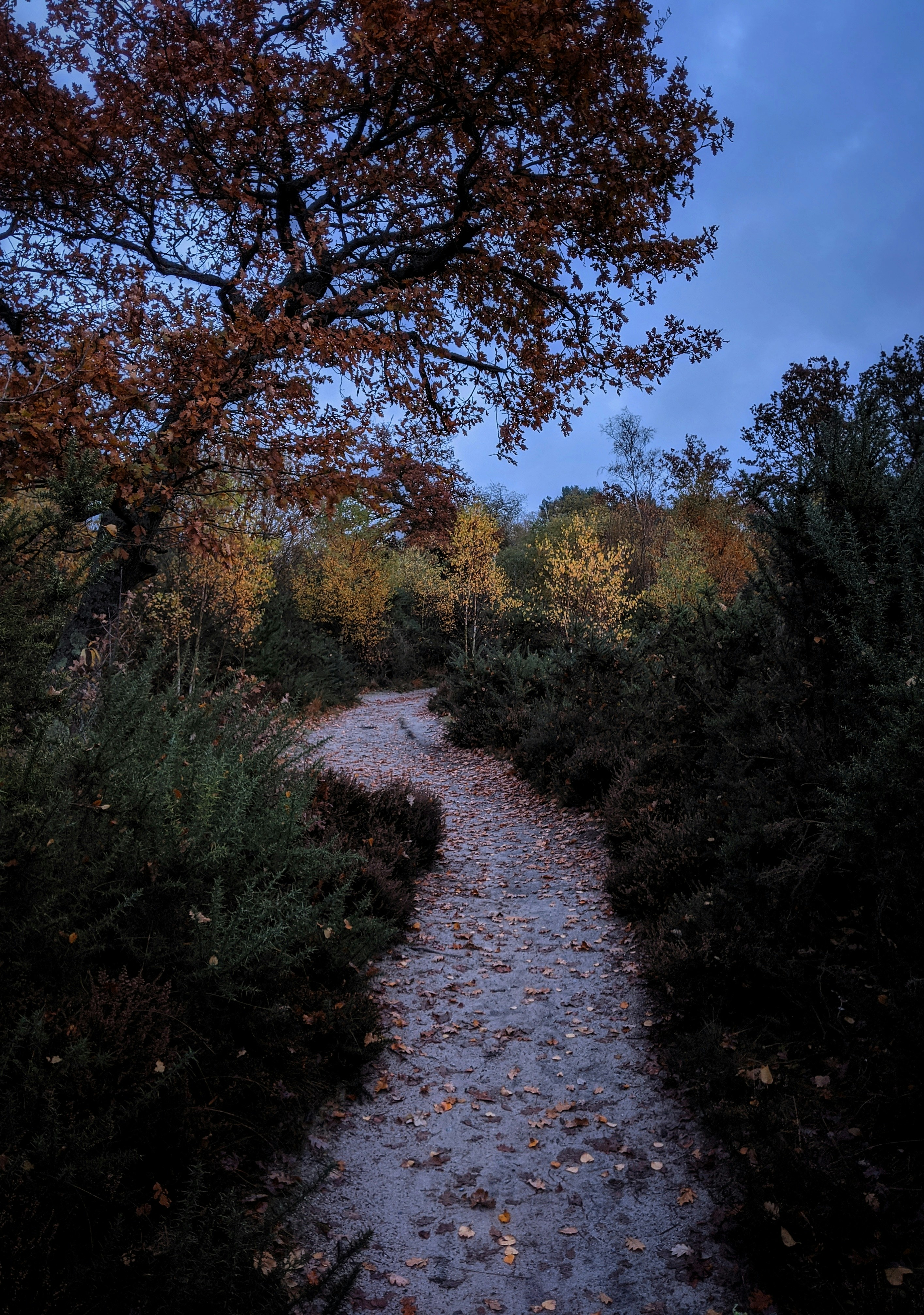 Photo by hannahwrightdesigner