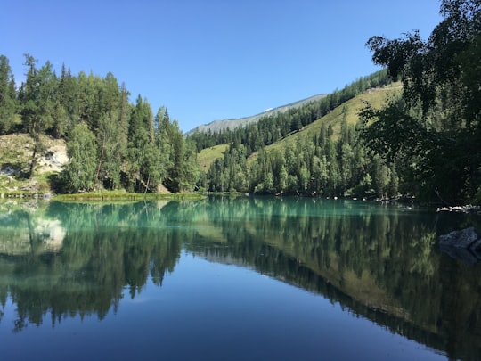 body of water beside trees in Kanas China