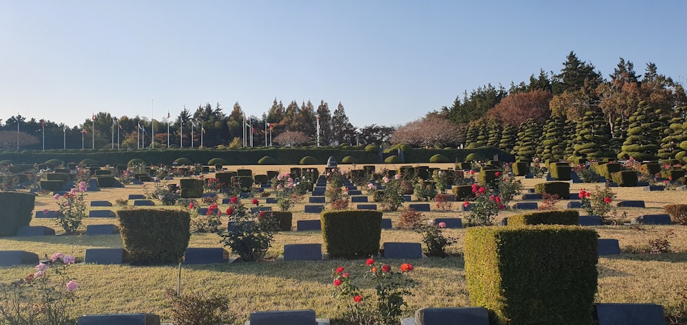 cemetery during day